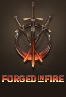 Forged in Fire S08E09 720p WEB h264-BAE