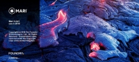 The Foundry Mari 4.6v2 (x64) [FileCR]