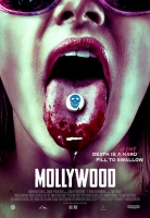 Mollywood 2019 HDRip XviD AC3-EVO