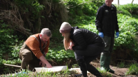 Springwatch S19E10 480p x264-RUBiK EZTV Springwatch S19E10 480p x264-RUBiK EZTV