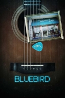 Bluebird 2019 1080p BluRay x264-CADAVER[TGx]