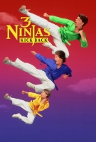 3 Ninjas Kick Back 1994 720p x264 1500kbps OKQ