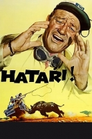 Hatari 1962 1080p BluRay X264-AMIABLE