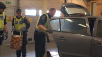 Border Control Sweden S01E02 XviD-AFG EZTV