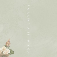 Shawn Mendes – Fallin' All In You {Single} Mp3 Song 320kbps Quality