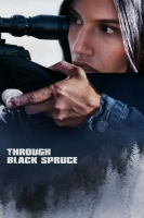 Through Black Spruce 2018 BDRip x264-SPECTACLE[TGx]