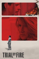 Trial By Fire 2018 DVDRip x264-LPD[TGx]